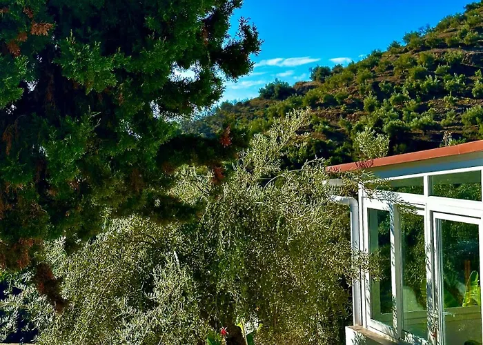 Filipinas, Lemoni Torrox